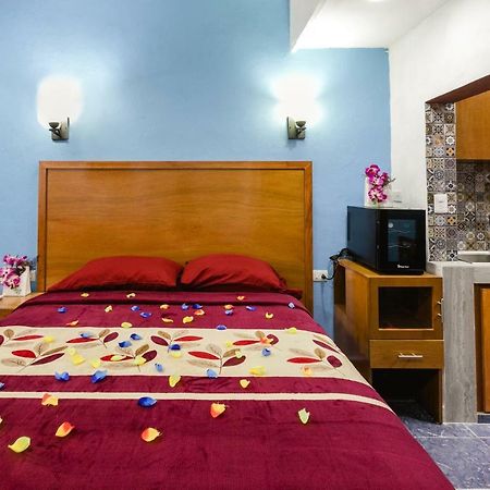 Suite Studio Serviced Apartments Mérida Zewnętrze zdjęcie